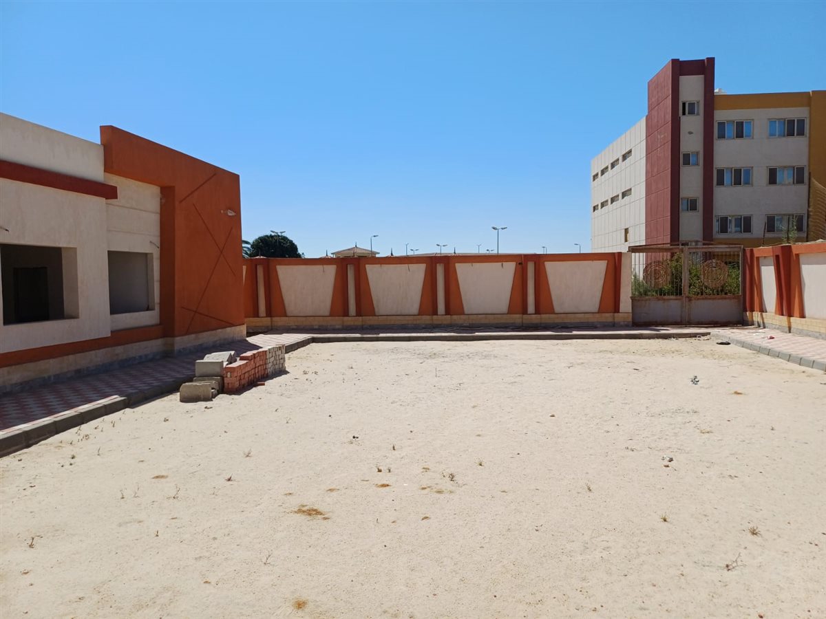 نقيب أطباء بورسعيد