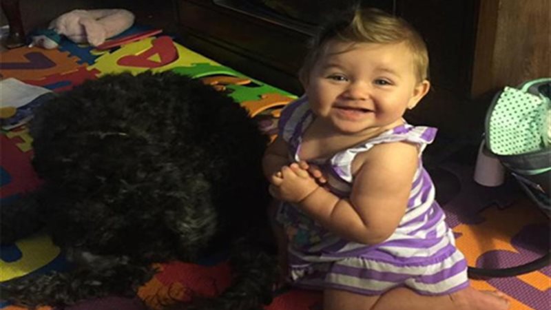 كلب يضحي بحياته لإنقاذ