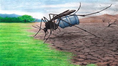 #الريشة_في_مواجهة_التغيرات_المناخية 