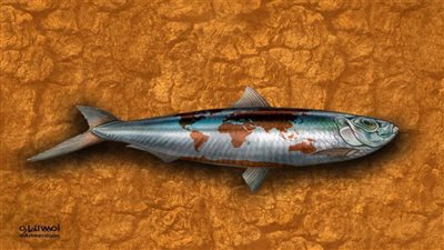 #الريشة_في_مواجهة_التغيرات_المناخية 