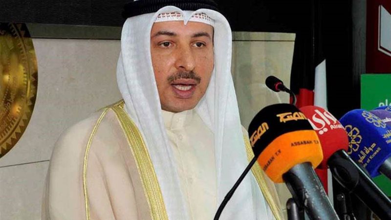 السفير ناصر الهين