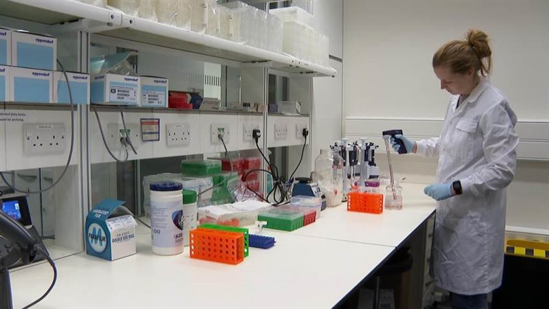 البحث العلمي