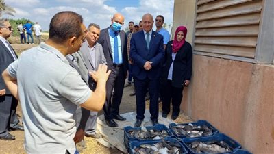 رئيس جامعة بنها: نتبني نموذج الجامعة المنتجة لتعزيز استدامة الموارد