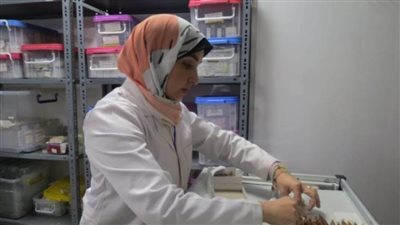 الرعاية الصحية تقدم 3.3 مليون خدمة طب أسرة بـ 35 وحدة ومركزًا