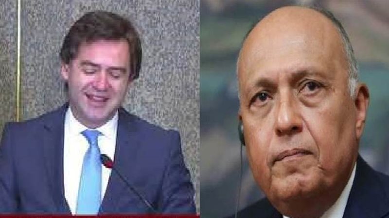 شكري ونظيره المولدوفي