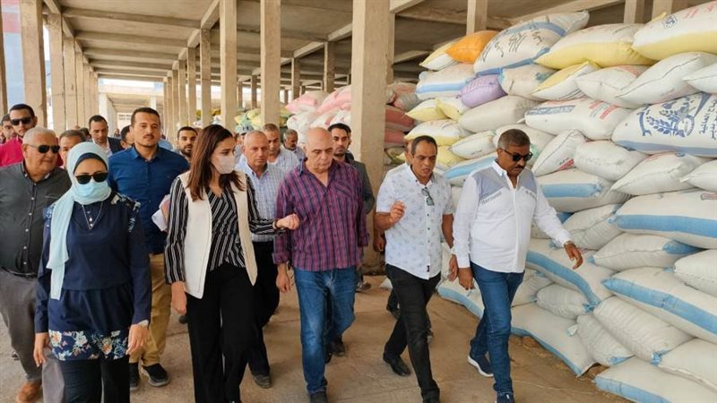 نائب محافظ البحيرة