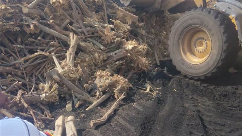 إزالة 37 من مكامير