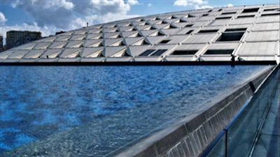 حالة عود بمكتبة الإسكندرية