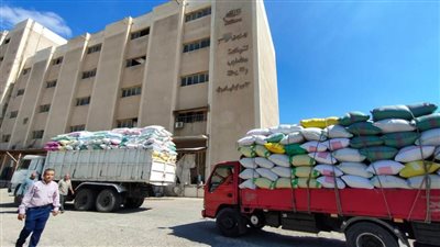 شون محافظة البحيرة تستقبل 17122 طن أرز منذ بداية الموسم