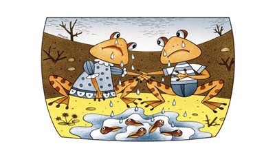 #الريشة_في_مواجهة_التغيرات_المناخية 