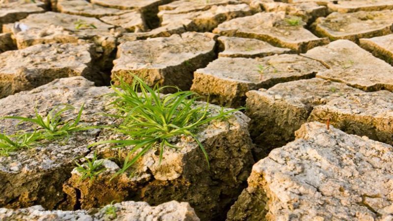 تأثير التغيرات المناخية