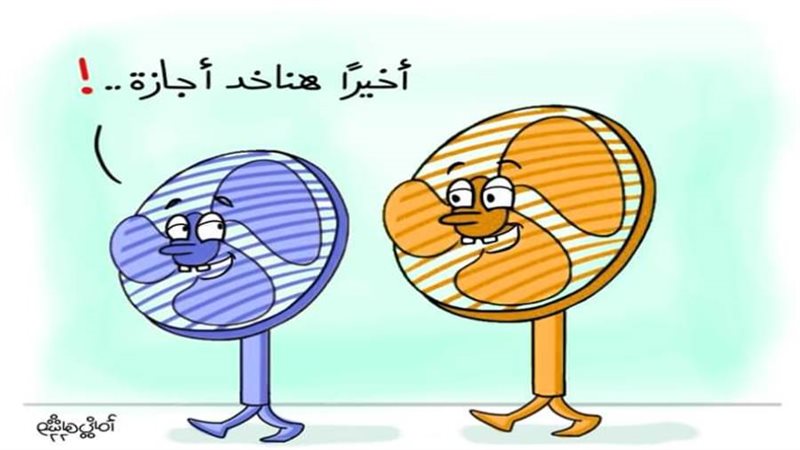 بوابة روز اليوسف