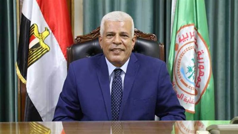 الدكتور سيد خليفة