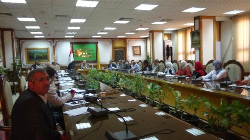 جامعة المنيا