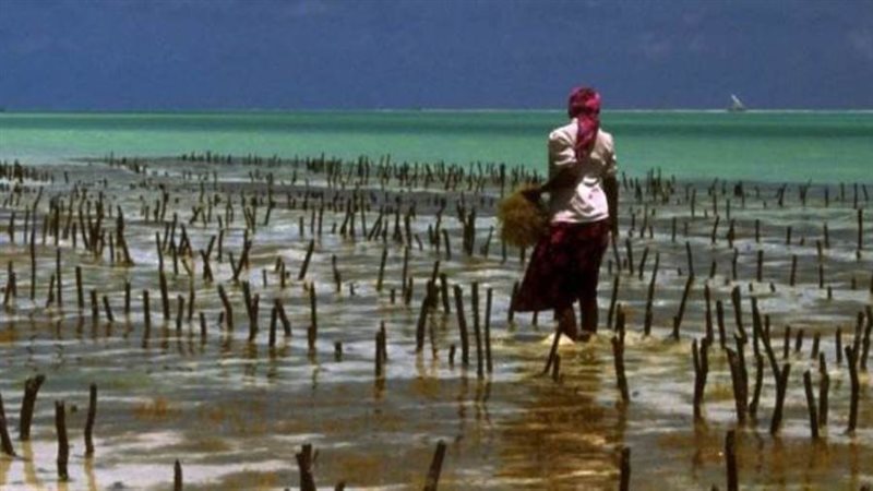 المرأة الريفية