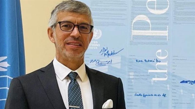 السفير عبدالعزيز