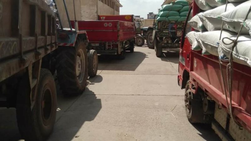 توريد الأرز لشون