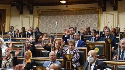 مجلس النواب يوافق مبدئيا على مشروع قانون إنشاء المجلس الأعلى لصناعة السيارات 