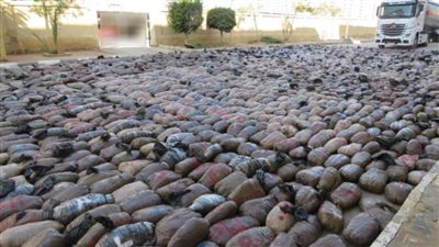 ضربة أمنية كبرى.. أجهزة الأمن تحبط نقل وتهريب 10 أطنان مخدرات