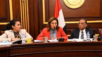 وزيرة الثقافة تستعرض خطة الوزارة بلجنة الثقافة بمجلس الشيوخ
