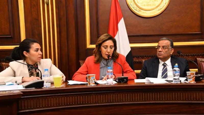 وزيرة الثقافة بمجلس