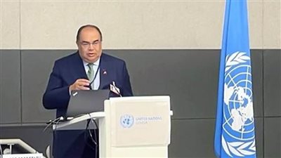 محيي الدين: إفريقيا الأقل مساهمةً في الانبعاثات والأكثر اهتماماً بالاستثمار في الطاقة النظيفة