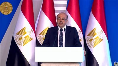 رئيس هيئة المواد النووية: مشروع الرمال السوداء له أبعاد وانعكاسات إيجابية