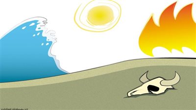 #الريشة_في_مواجهة_التغيرات_المناخية 