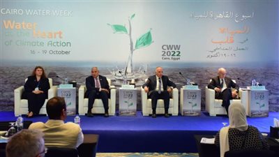 وزير الري يؤكد سعي مصر الدائم لتعزيز التعاون الفني وتبادل الخبرات مع الدول الإفريقية