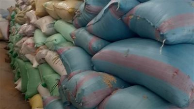 انتظام أعمال توريد محصول الأرز بمحافظة البحيرة