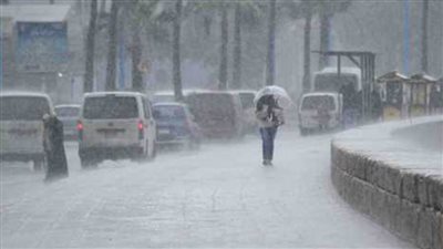 بالفيديو والصور| أمطار على الإسكندرية ومطروح.. وليلة البرق والرعد على السويس وسيناء