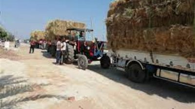 وزيرة البيئة: تزايد إقبال الأهالي على فتح مواقع تجميع قش الأرز