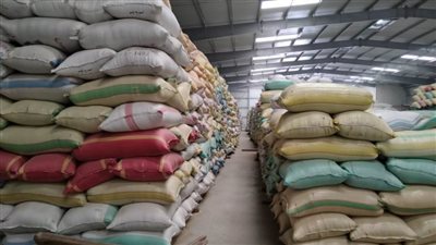 توريد 41046 طن أرز لشون ومخازن محافظة البحيرة