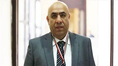 برلماني: المؤتمر الاقتصادي فرصة لوضع حلول لمواجهة تحديات الأزمة العالمية