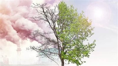 دكا: يتعين على الدول المعرضة لآثار المناخ التركيز على المنح القائمة على العدالة