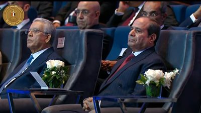 الرئيس السيسي: اتفاقية ترسيم الحدود البحرية وفرت لمصر 120 مليار دولار سنويًا لتشغيل محطات الكهرباء