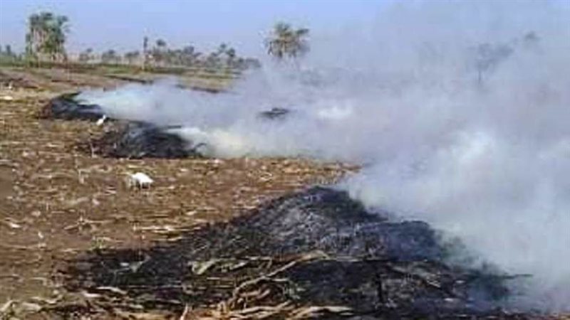 جانب من المخالفه