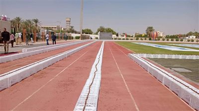 الوادي الجديد تنظم أطول سلسلة تمور استعدادًا لدخول موسوعة جينيس 