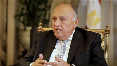 بالفيديو.. سامح شكري يجري حوارًا مع وكالة 