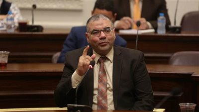 برلمانى بالقليوبية: توصيات المؤتمر الاقتصادى ستدفع عجلة التنمية والإنتاج وحراك استثمارى