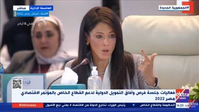 وزيرة التعاون الدولي: ندعو القطاع الخاص لتوفير سبل مختلفة لتمويله عبر شركاء التنمية