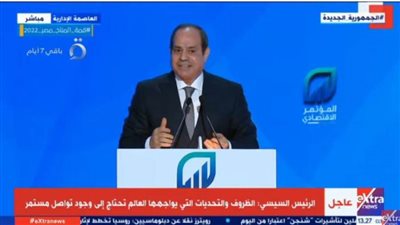 الرئيس السيسي: أعتبر نفسي إنسانًا طُلب منه التدخل لحماية وطنه