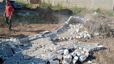 إزالة 36 حالة تعدٍ على الأراضي الزراعية وأملاك الدولة بالبحيرة