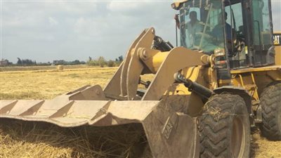 إزالة 48 حالة تعدٍ على الأراضي الزراعية وأملاك الدولة بالبحيرة