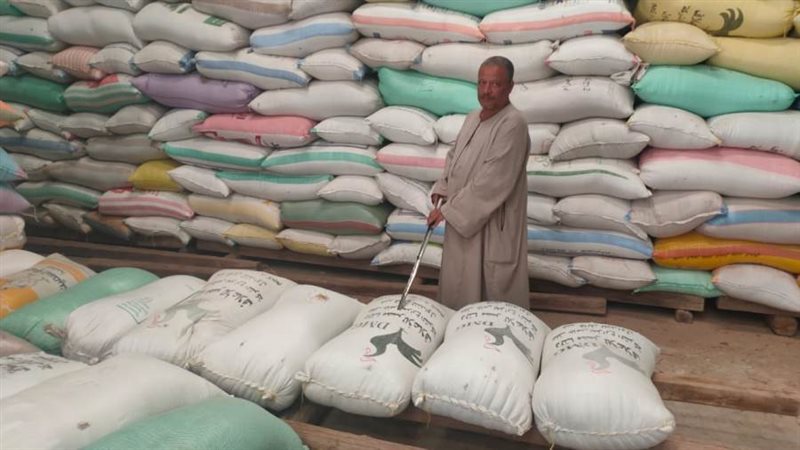 توريد 46595 طن أرز