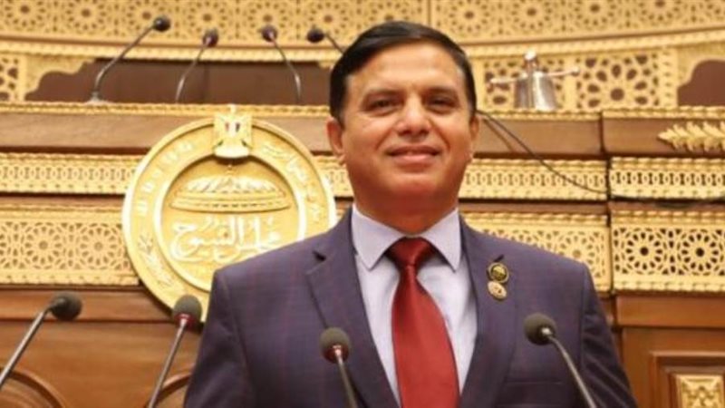 النائب اللواء طارق