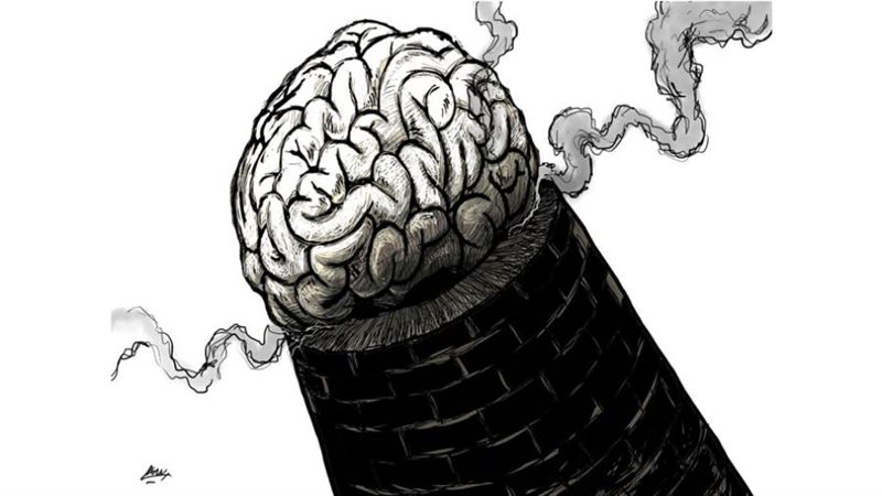 بوابة روز اليوسف