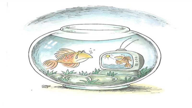 بوابة روز اليوسف