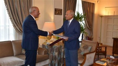 مندوب مصر بالجامعة العربية: ندعم الجزائر في قمة 