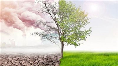 منصة أسوان للتغيرات المناخية: تقدير عالمي لرؤية الرئيس السيسي في مجال التغيرات المناخية